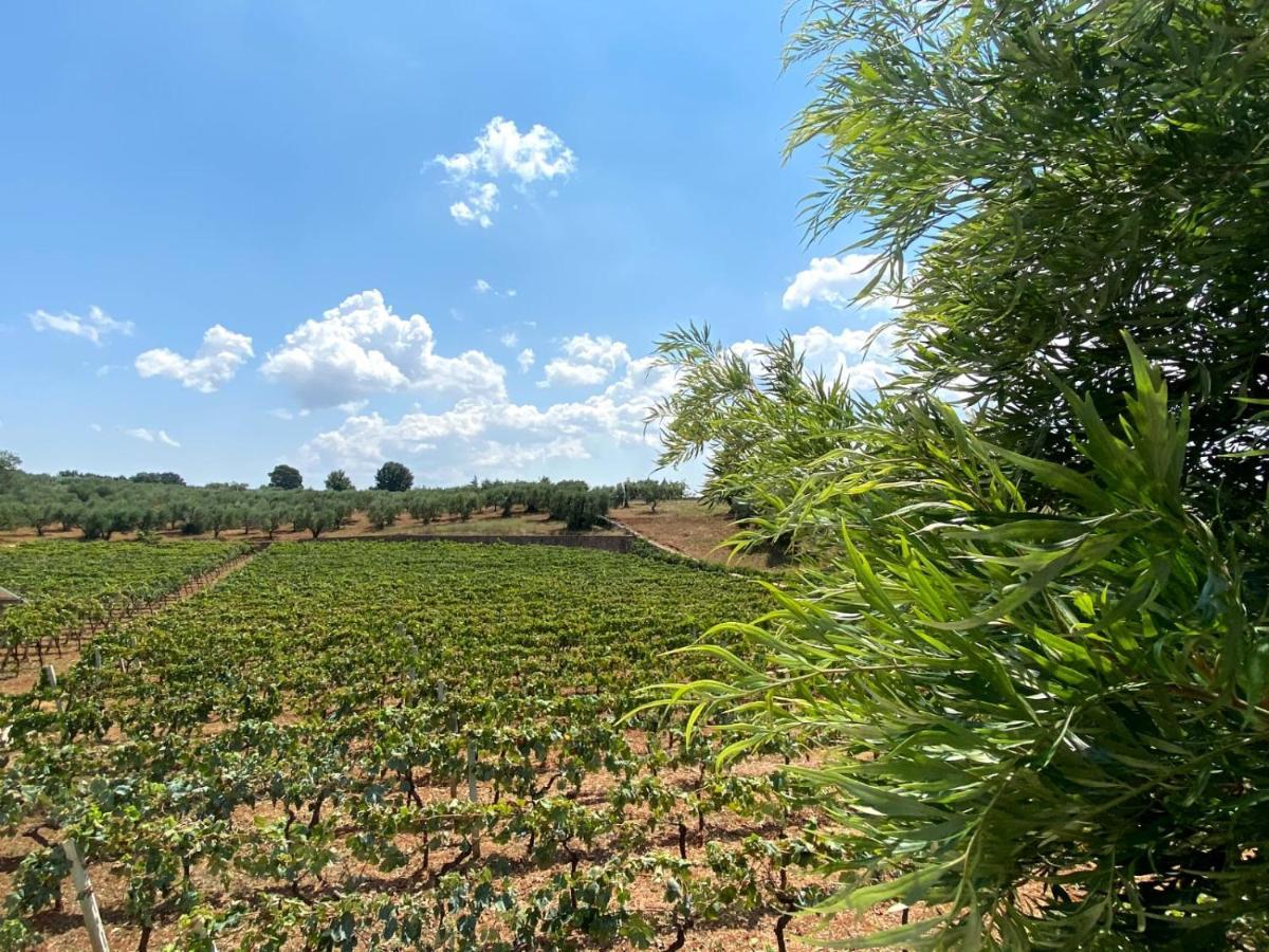 Tenuta Montanaro Locorotondo Extérieur photo