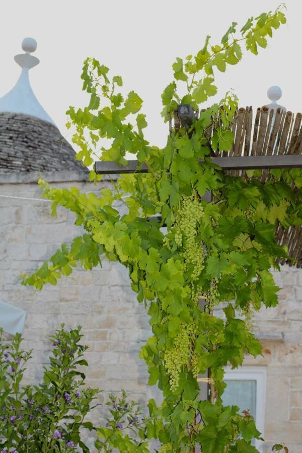 Tenuta Montanaro Locorotondo Extérieur photo